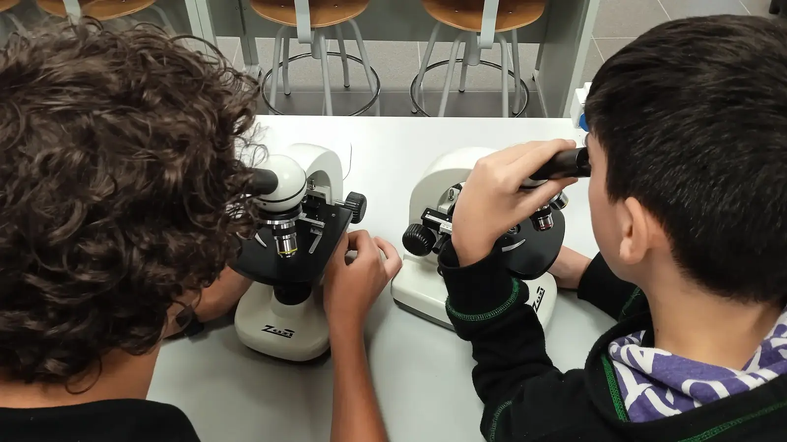 Dos chicos jóvenes mirando por microscopios. 